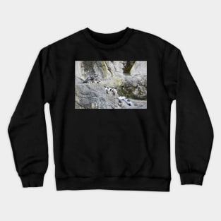 Snowleopard Crewneck Sweatshirt